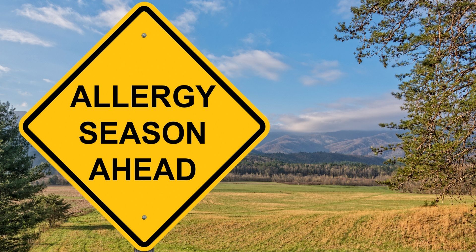 Allergy Season ahead warning sign